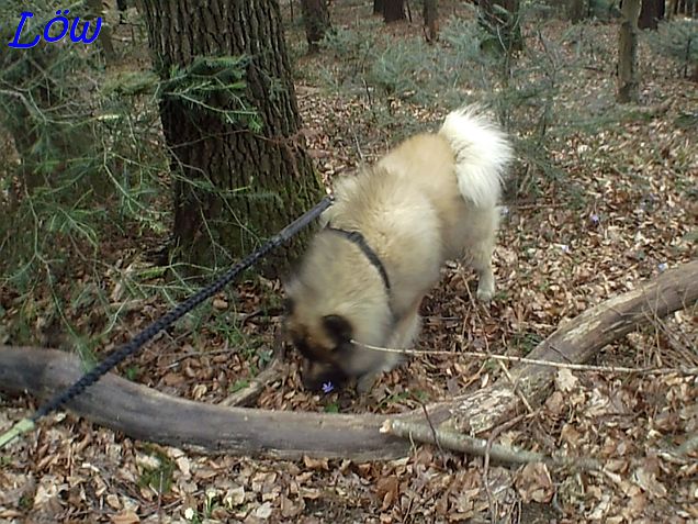 22.3.2025 - Dwix steckt die Nase rein